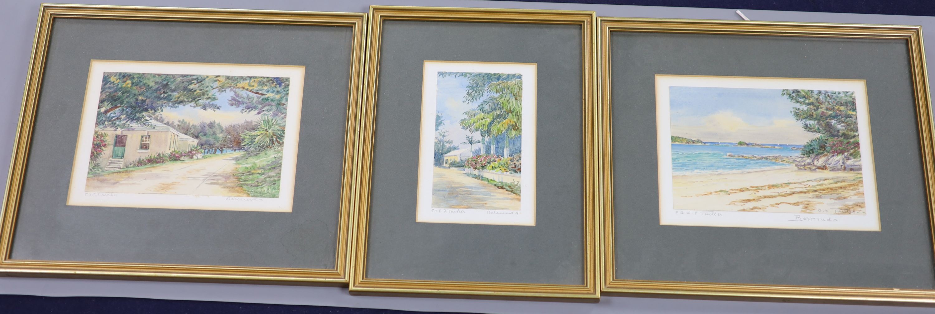 G.C.F.Tucker , 3 watercolours of Bermuda, signed, 12 x 17cm & 14 x 8cm.